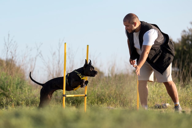 Mastering the Basics: A Beginner’s Guide to Dog Training